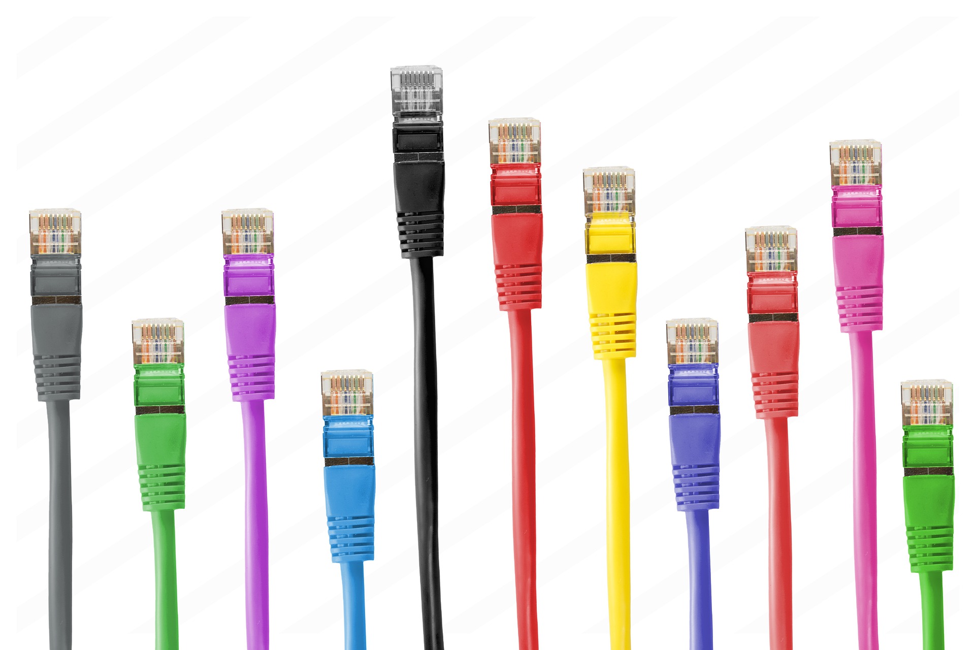 Network Cables WBO